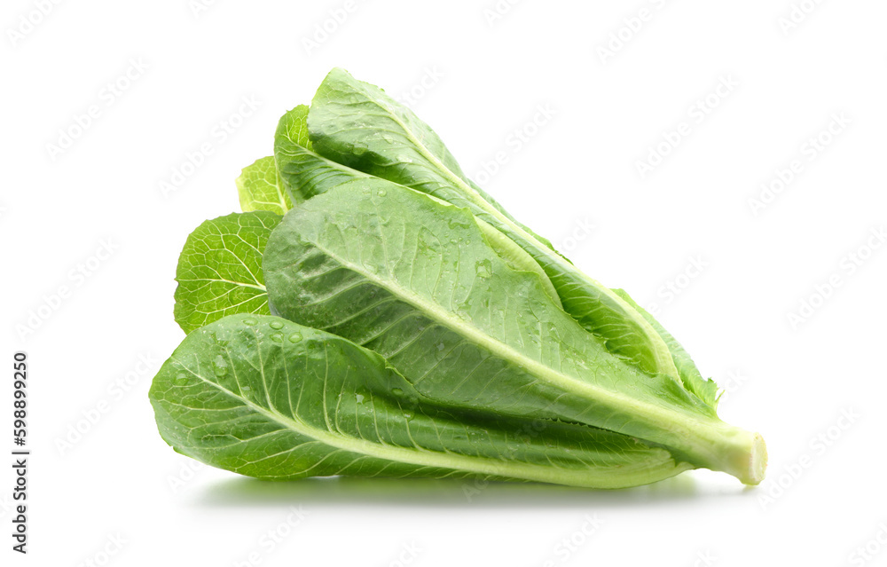 Fresh green cos lettuce isolate on white background. Clipping path. Fresh green cos lettuce isolate on white background. Clipping path.