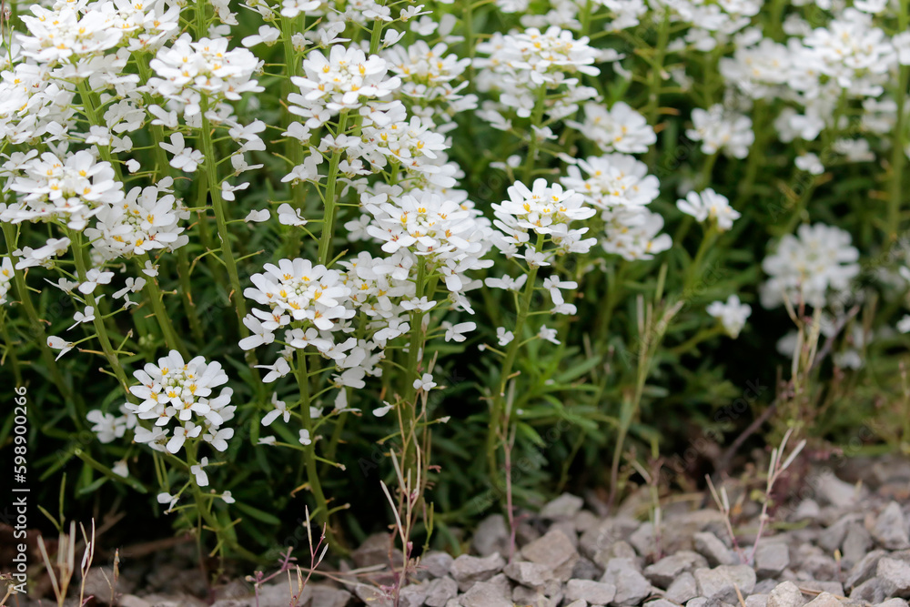 tous au jardin