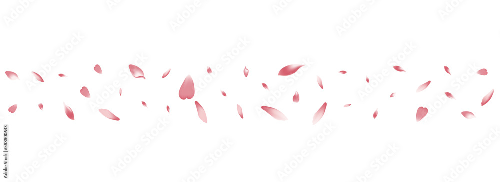 Pink Peach Petal Vector White Background. White