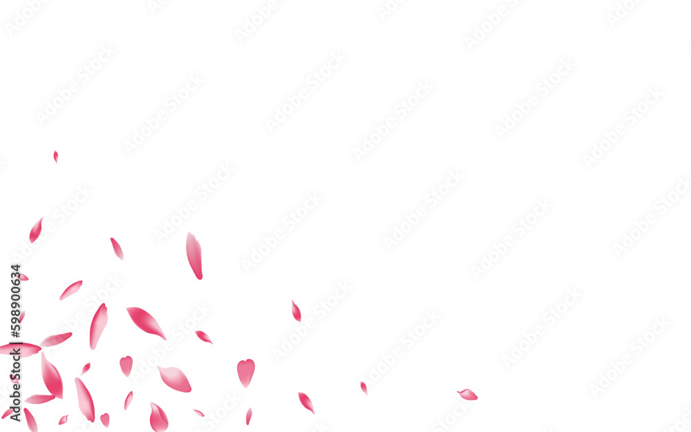 Pink Cherry Petal Vector White Background. Color