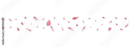 Pink Peach Petal Vector White Background. White © Natallia