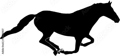 silhouette of a horse