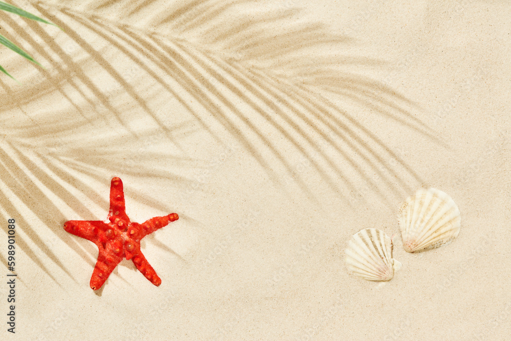 Beach sand with shadow of palm leaf, starfish and seashells Beach sand with shadow of palm leaf, starfish and seashells