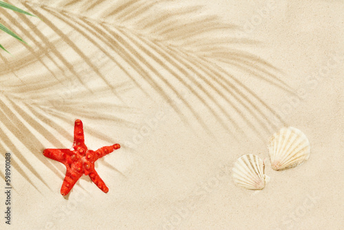 Beach sand with shadow of palm leaf, starfish and seashells