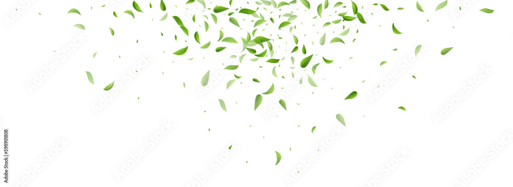 Mint Leaves Tree Vector Panoramic White Mint Leaves Tree Vector Panoramic White