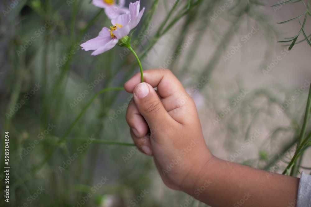 A hand holds a flower and the background is blurred