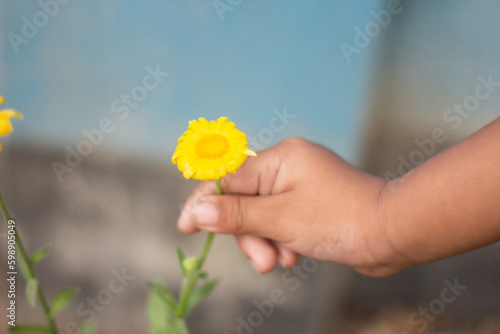 One hand holds a yellow flower and the background is blurred