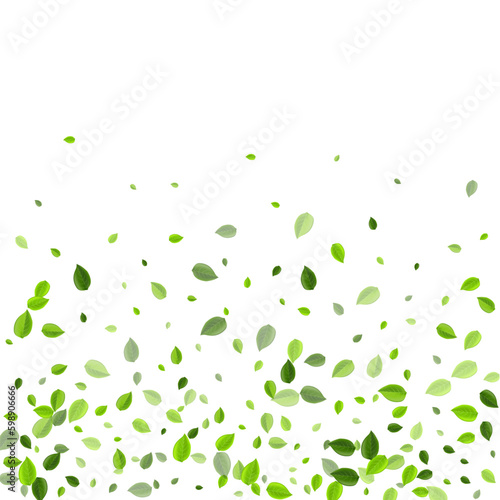 Mint Foliage Motion Vector Border. Forest Leaves