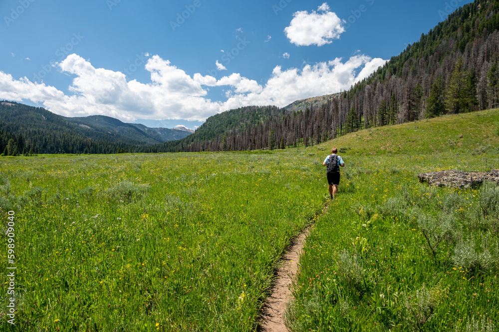 Man Hikes Through Meadow Toward Mount Holmes