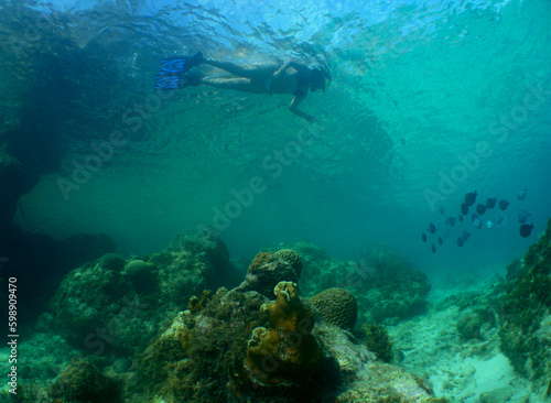 snorkeling in the crystal clear waters of the caribbean sea