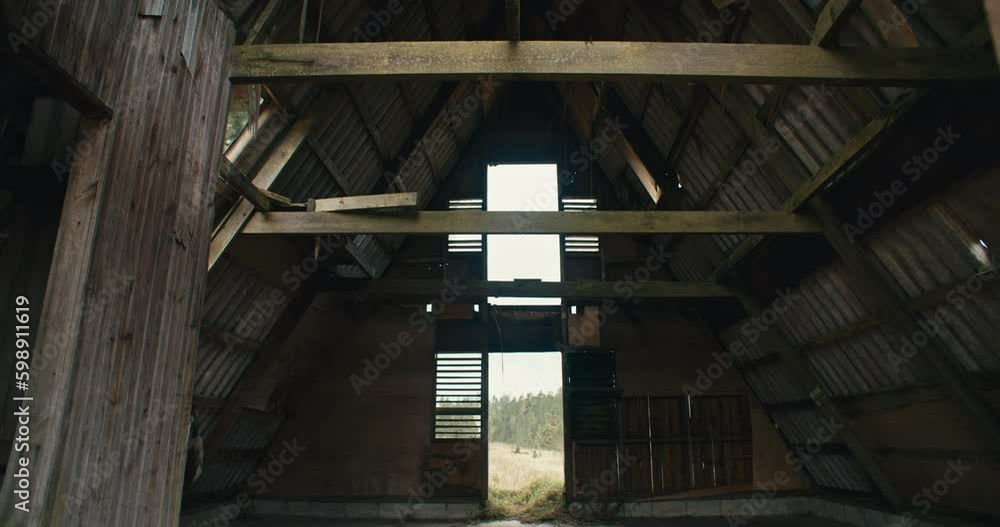 Interior of abandoned zinc roofed triangle log cabin in a field of serrated tussock grass and caribbean pine trees in the mountains with cloudy sky. Wide static shot Interior of abandoned zinc roofed triangle log cabin in a field of serrated tussock grass and caribbean pine trees in the mountains with cloudy sky. Wide static shot