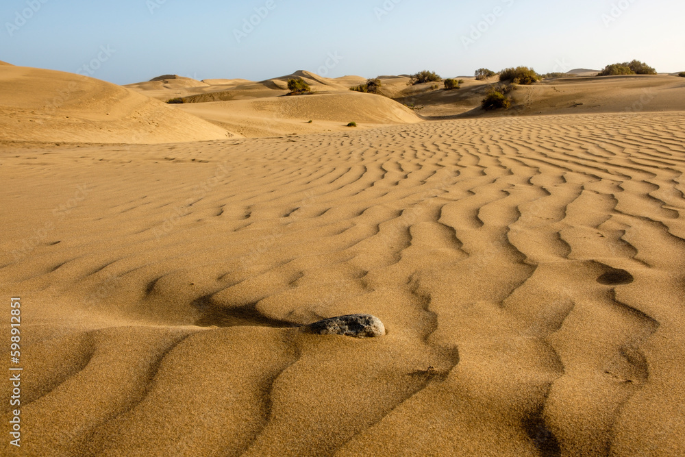 Dünen am Strand von Maspalomas, Gran Canaria, Kanarische Inseln, Spanien