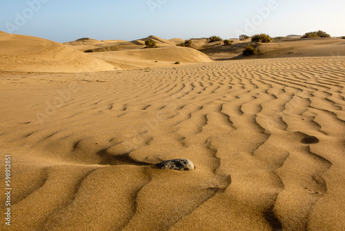Obraz na płótnie Dünen am Strand von Maspalomas, Gran Canaria, Kanarische Inseln, Spanien w salonie