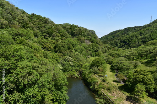 新緑の風景