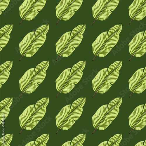 Tropical leaf seamless pattern. Exotic leaves background. Jungle plants endless wallpaper. Rainforest floral hawaiian backdrop.