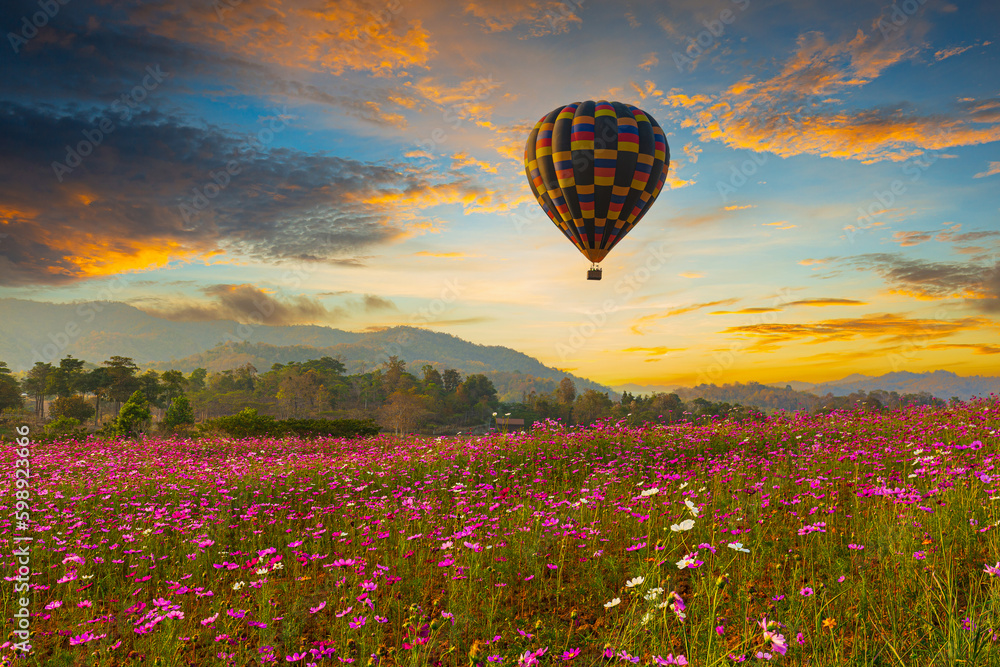 Fototapeta premium Views of flower fields and beautiful balloons in the sky,The beautiful landscape of the flower field, the sunset, and the balloon floating in the sky