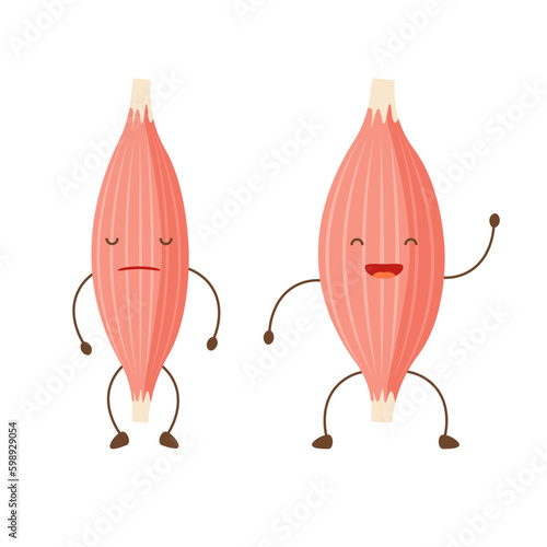 Healthy happy muscle and weak sad muscle. Strong and pain muscle characters. Loss tissue. Vector illustration in trendy flat style isolated on white background. photo