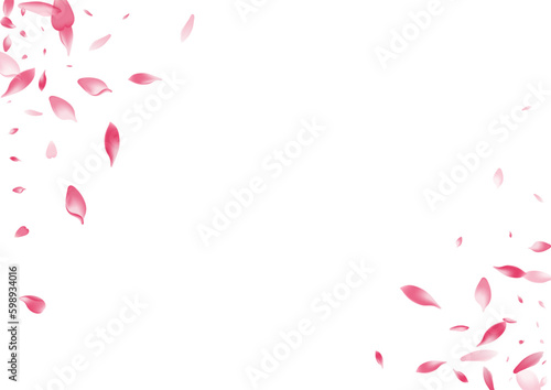 White Cherry Petal Vector White Background.