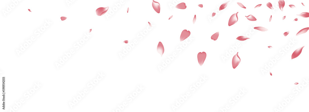 Transparent Apple Petal Vector White Background.