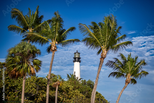 lighthouse on the beach - palm tree