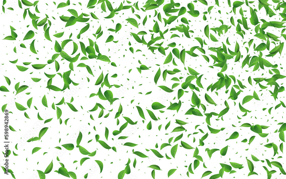Forest Greens Transparent Vector White Background Forest Greens Transparent Vector White Background