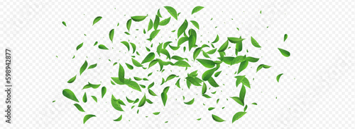 Green Foliage Realistic Vector Panoramic