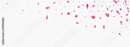 Purple Petal Vector Panoramic Transparent