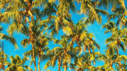 Colorful Collage of  Summer Palm Trees © julien.habis