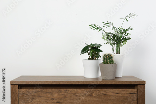 Many different houseplants in pots on wooden table near white wall, space for text