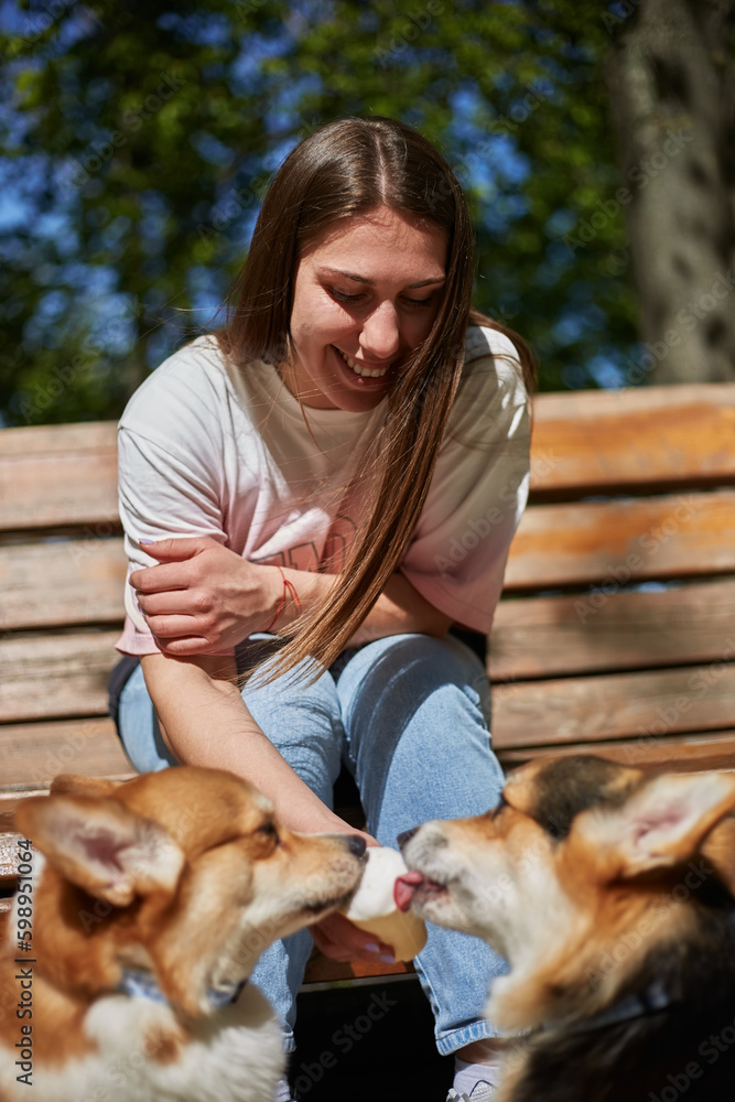 Cheerful young female feeding corgis with ice cream. Owner spoiling her pets with a dessert food