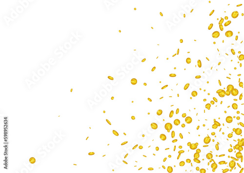 Rich Shiny Coin Vector White Background. Gold