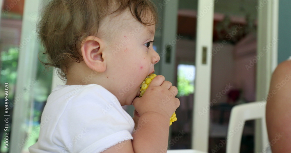 Parent feeding adorable baby infant on highchair. Cute toddler holding and eating corn Parent feeding adorable baby infant on highchair. Cute toddler holding and eating corn