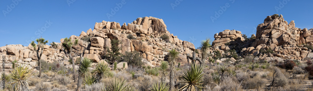 Joshua Tree NP, California, USA - December 1, 2021:  Rock formations, giant bouders and iiconic Joshua Tree forests attract outdoor enthusists from around the world.