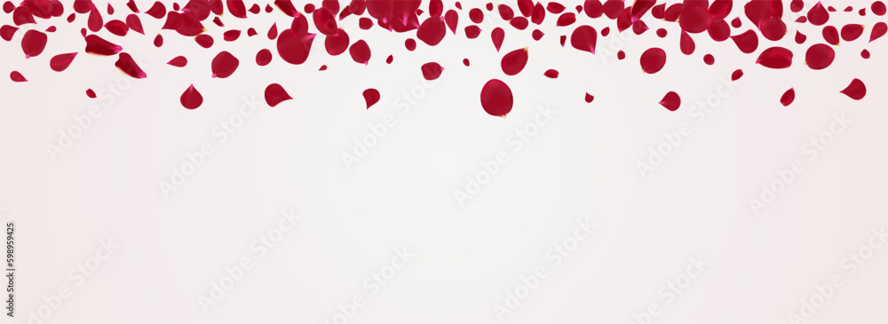 Delicate Blossom Fly Vector Panoramic White Delicate Blossom Fly Vector Panoramic White