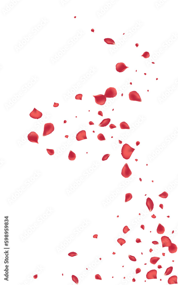 Red Rose Blur Vector White Background. Falling