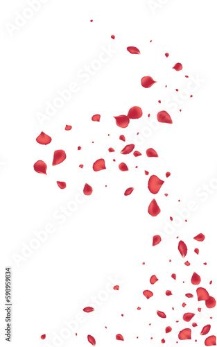 Red Rose Blur Vector White Background. Falling