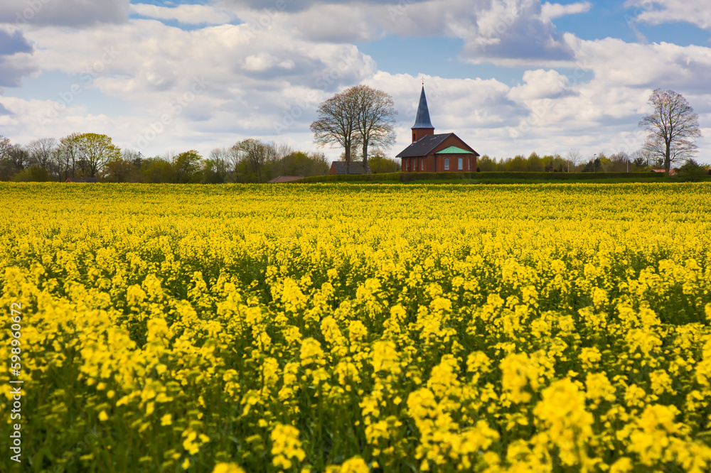 Church behind field of rapeseed Church behind field of rapeseed