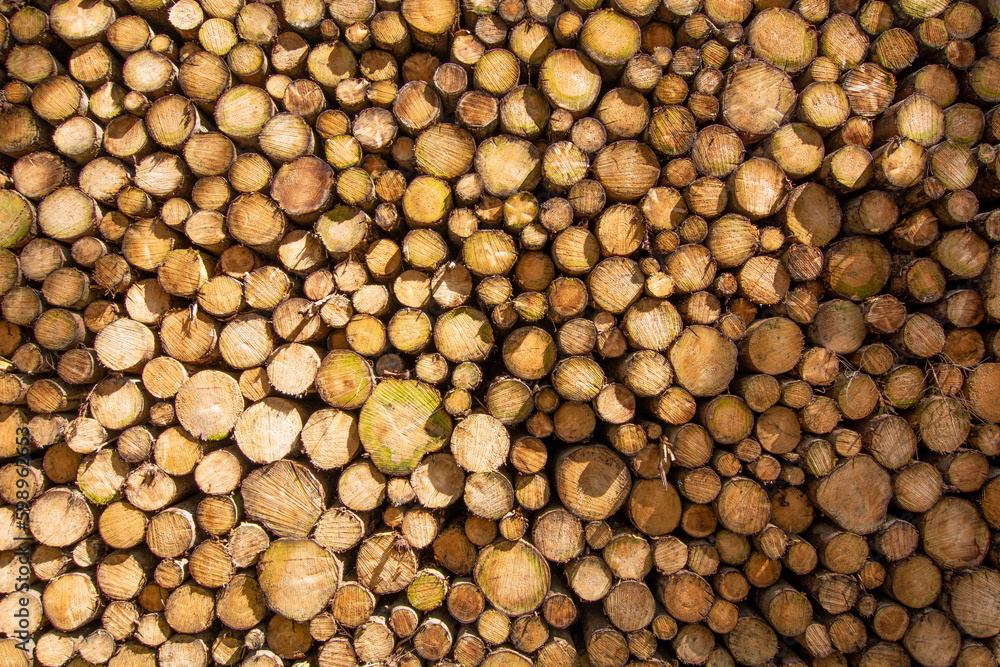 Holzstapel Holzstapel