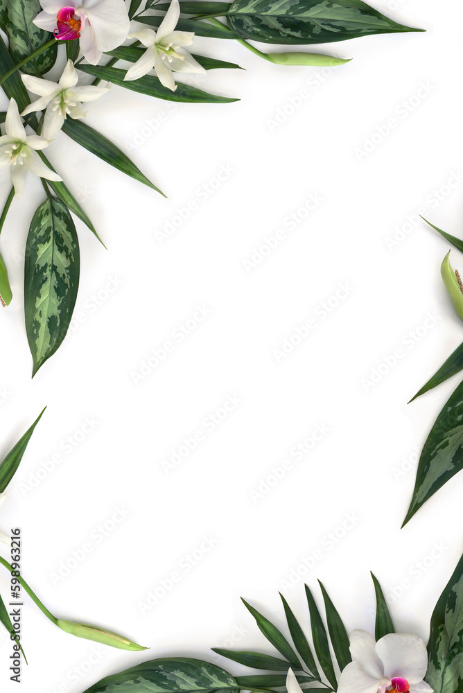 Tropical palm leaves and dieffenbachia, white pink flower orchid, and white flowers tropical on white background with space for text. Top view, flat lay