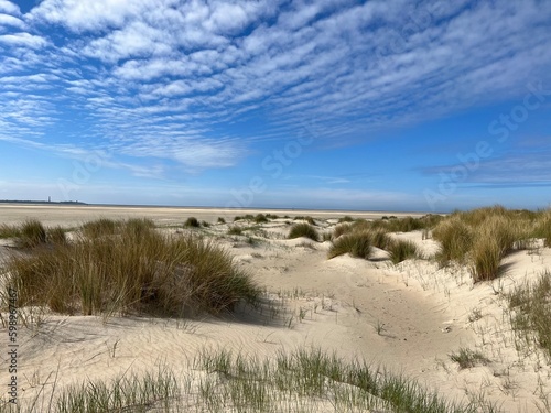 sand dunes in the dunes