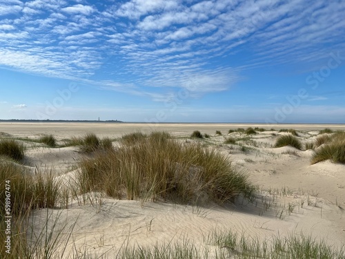 Fototapeta Naklejka Na Ścianę i Meble -  sand dunes in the dunes