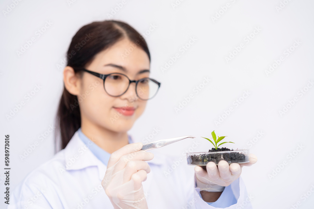 Science, Biology, Ecology and Research Concept, Young female scientist holding petri dish with plant and soil sample over white background Science, Biology, Ecology and Research Concept, Young female scientist holding petri dish with plant and soil sample over white background
