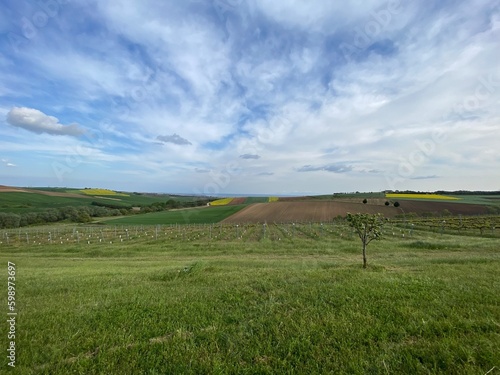 Springtime rural endless landscape in the wolds with agriculture fields, farms, trees and hedgerows under a blue cloudy sky