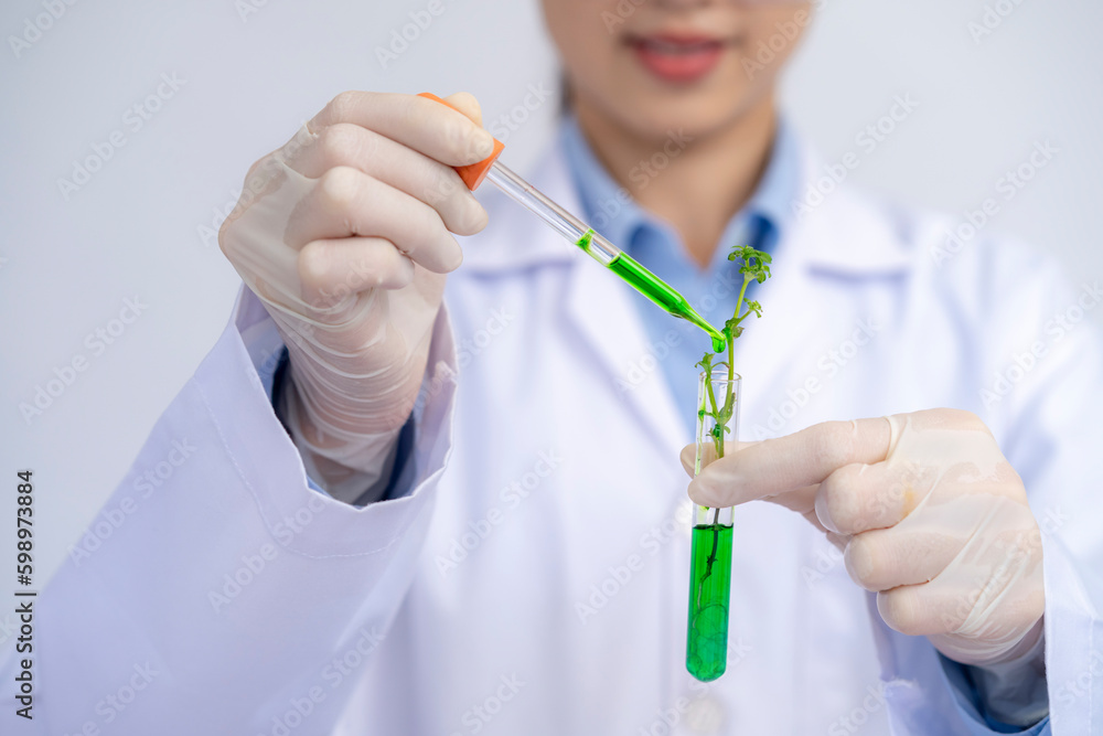 Science, Biology, Ecology and Research Concept, Young female scientist holding petri dish with plant and soil sample over white background Science, Biology, Ecology and Research Concept, Young female scientist holding petri dish with plant and soil sample over white background