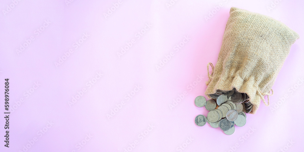 Bag money and money coin on pastel pink background