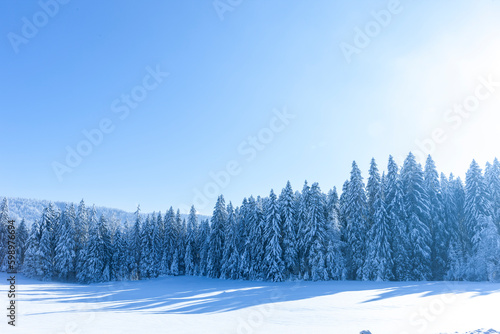 Verschneite Winterlandschaft mit schneebedeckten Tannenbäumen bei Sonnenlicht...