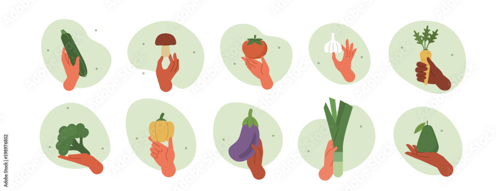 Hand gestures illustration set. Characters hands holding avocado, broccoli, onion and other fresh organic vegetables. Balanced healthy food and vegan diet concept. Vector illustration.
 - obrazy, fototapety, plakaty 