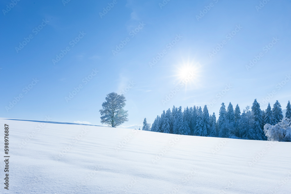 Verschneite Winterlandschaft mit schneebedeckten Tannenbäumen bei Sonnenlicht und blauem Himmel