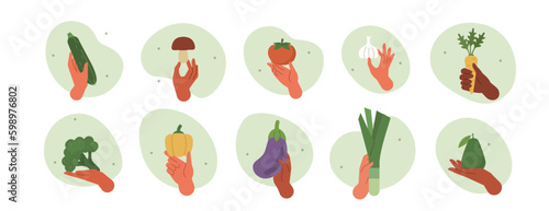 Hand gestures illustration set. Characters hands holding avocado, broccoli, onion and other fresh organic vegetables. Balanced healthy food and vegan diet concept. Vector illustration.
