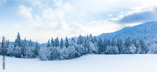 Verschneite Winterlandschaft mit schneebedeckten Tannenbäumen bei Sonnenlicht...